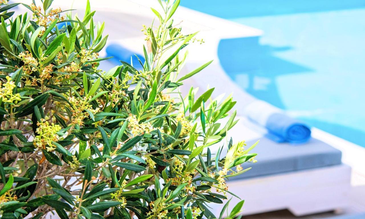 Elounda Garden Suites Heated Pool Exterior photo